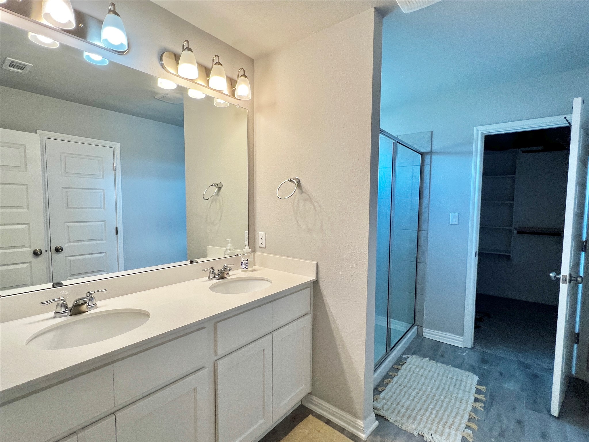 2904 Sage Ranch Drive Leander, TX 78641 - Photo 10 of 21 Primary bath