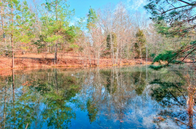 8215 Gregory Road Aiken, SC 29805 - Photo 2 of 25 Gallery Image 2