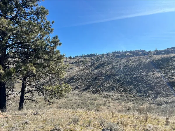 a view of a dry yard with mountains in the background