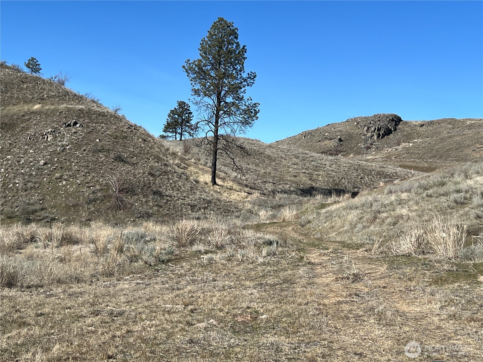 -nna Nna Soap Lake Road Okanogan, WA 98840 - Photo 12 of 15 a view of a dry yard with mountains in the background
