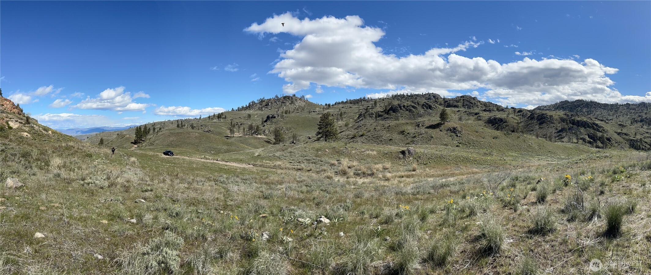 -nna Nna Soap Lake Road Okanogan, WA 98840 - Photo 14 of 15 a view of a big yard with mountains in the background