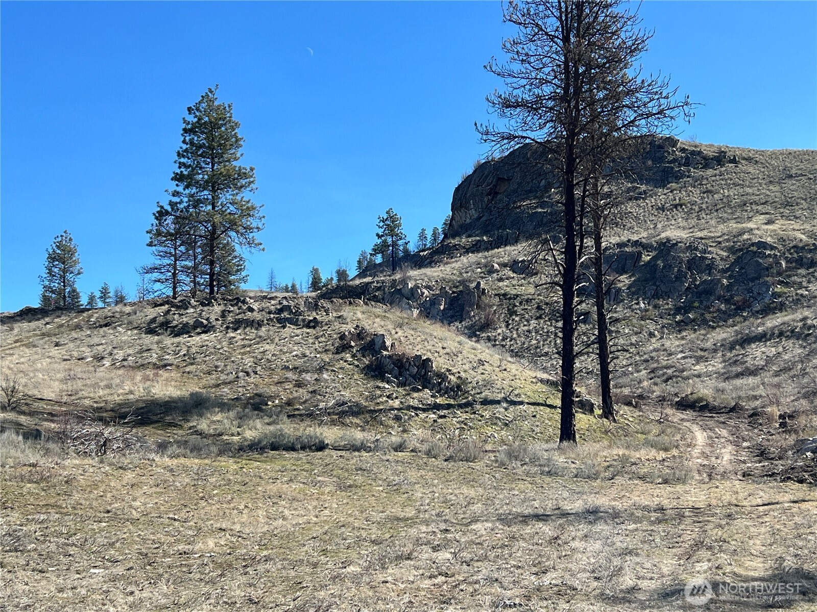 -nna Nna Soap Lake Road Okanogan, WA 98840 - Photo 10 of 15 a view of a dry yard with trees