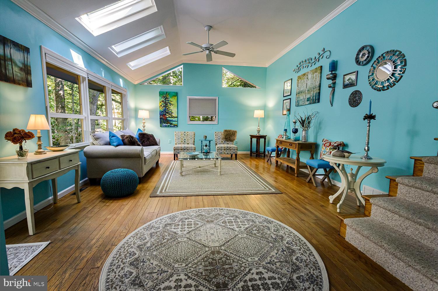 205 Migazee Trail Medford Lakes, NJ 08055 - Photo 10 of 38 Vaulted ceiling with sky lights