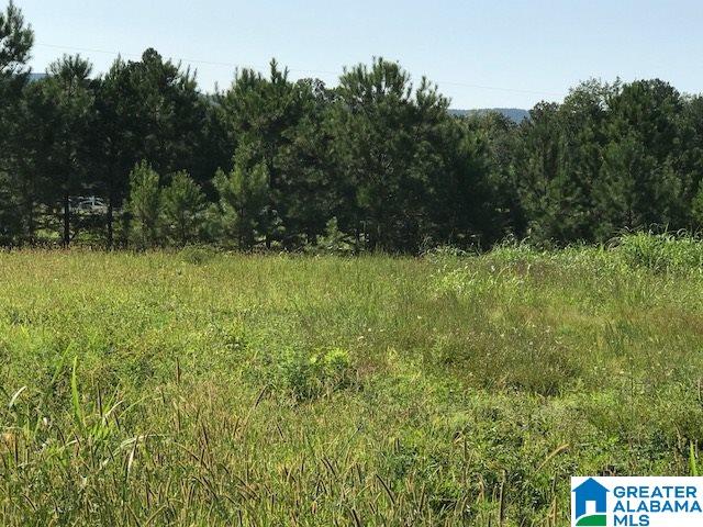 9 Easy Street Anniston, AL 36207 - Photo 3 of 22
