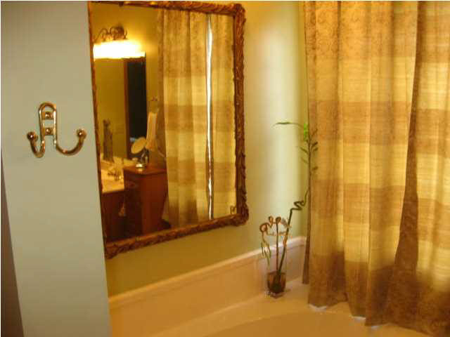 301 White Sand Road Florence, MS 39073 - Photo 15 of 24 MASTER BATH JETTED TUB