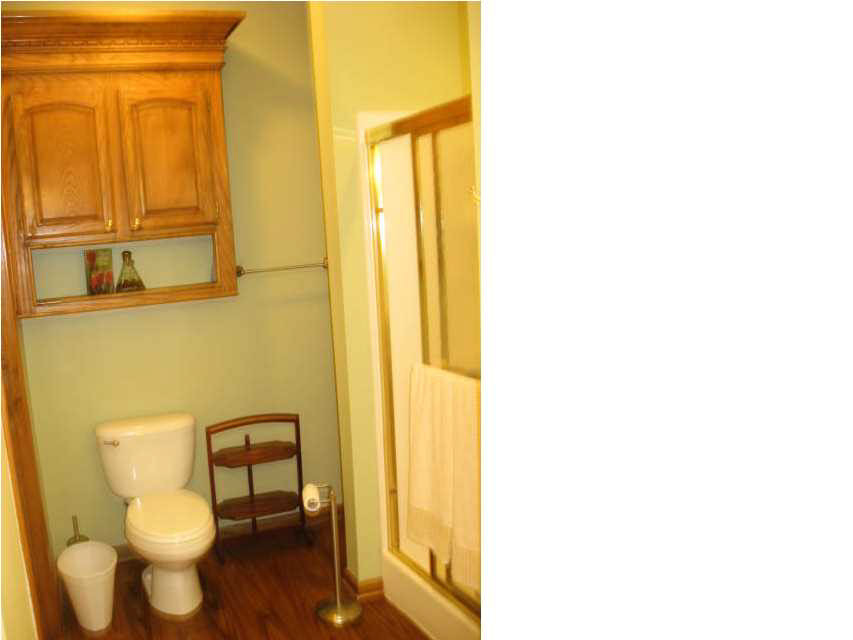 301 White Sand Road Florence, MS 39073 - Photo 16 of 24 MASTER BATH LARGE SHOWER