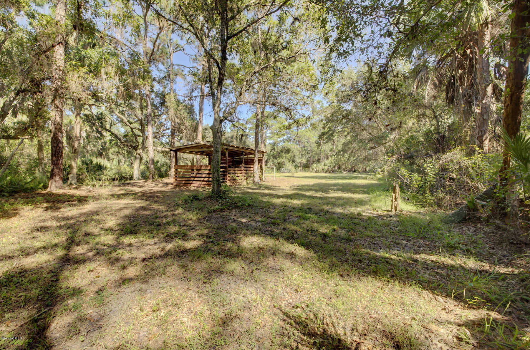 3875 Burton Road Grant Valkaria, FL 32950 - Photo 33 of 44 Horse Stalls
