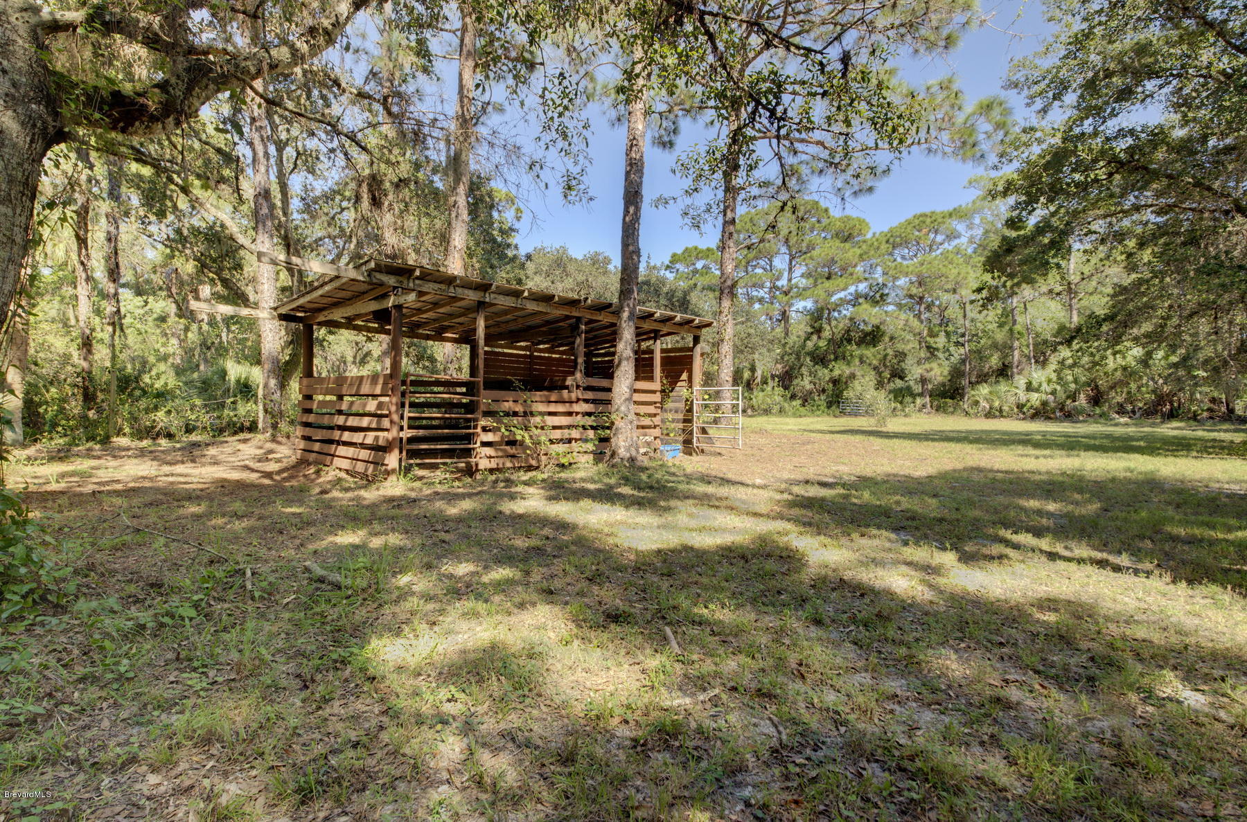 3875 Burton Road Grant Valkaria, FL 32950 - Photo 34 of 44 Bring your horses