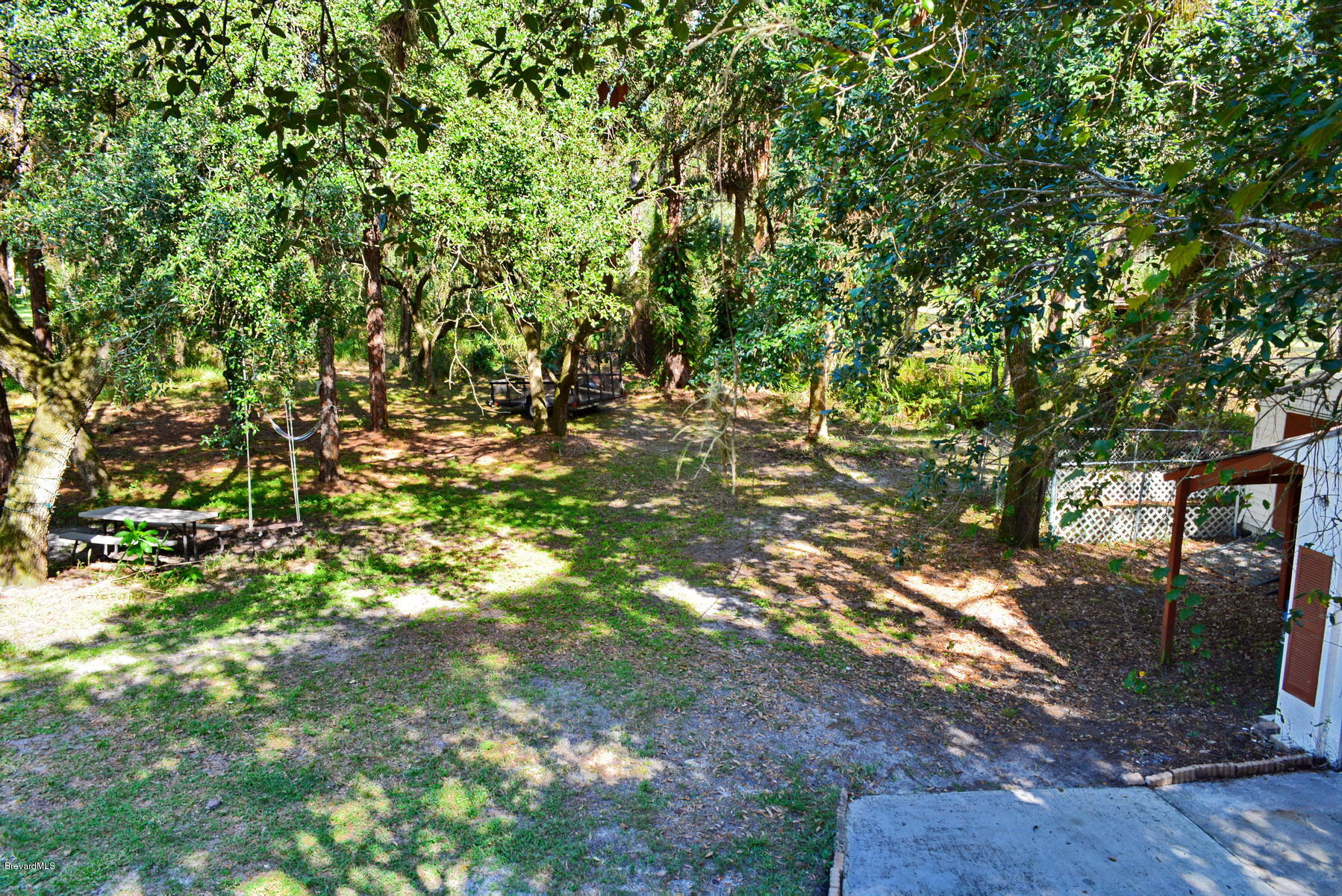 3875 Burton Road Grant Valkaria, FL 32950 - Photo 5 of 44 Wooded Lot for your horses