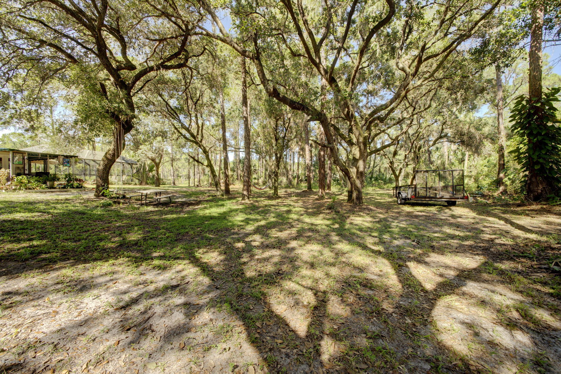 3875 Burton Road Grant Valkaria, FL 32950 - Photo 44 of 44 Wooded Lot