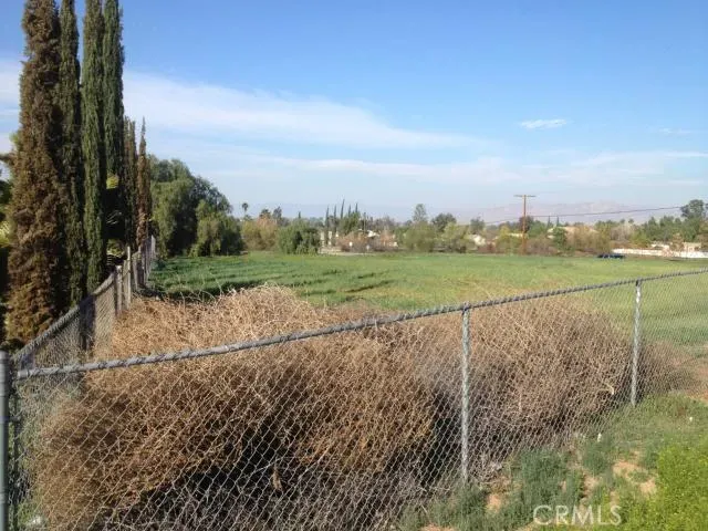 a view of a field with an trees in the background