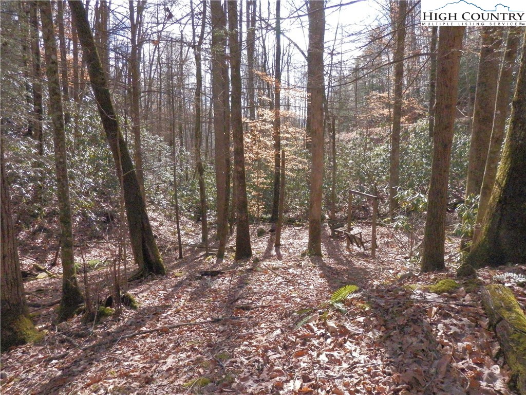 Range Branch Road Purlear, NC 28665 - Photo 3 of 10 Gallery Image 3