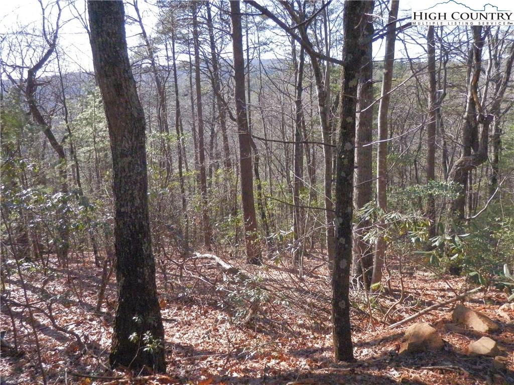 Range Branch Road Purlear, NC 28665 - Photo 9 of 10 Gallery Image 9