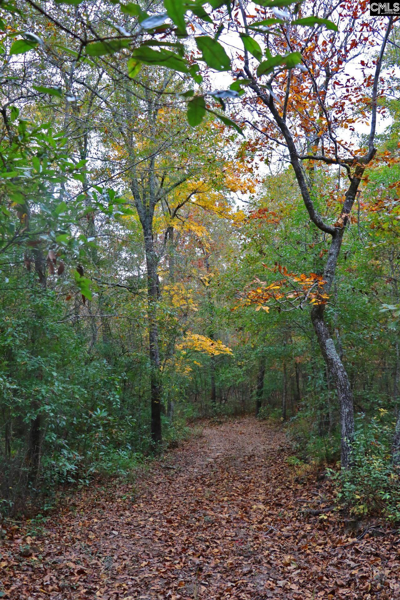 Tbd Browns Pond Road Wagener, SC 29164 - Photo 37 of 48