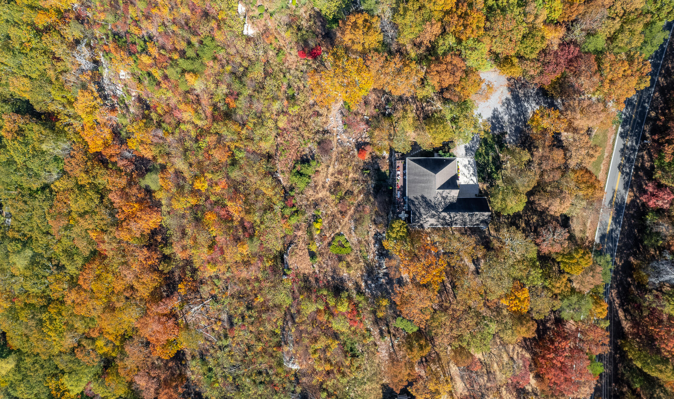 5998 Old State Road Menlo, GA 30731 - Photo 47 of 60 5998 Old State Rd