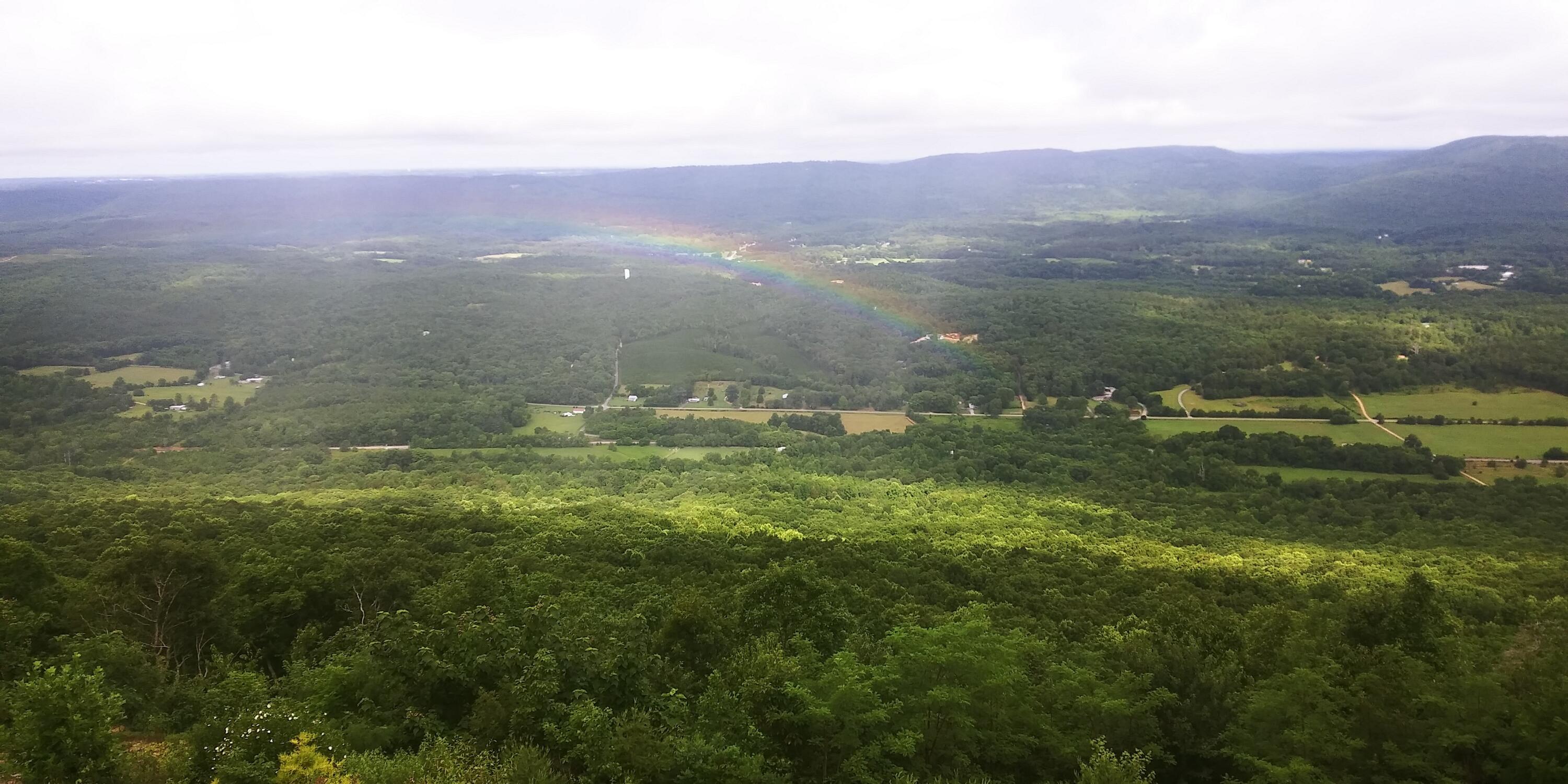 5998 Old State Road Menlo, GA 30731 - Photo 57 of 60 20220711_092216