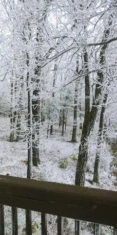 $865,900 | 5998 Old State Road, Menlo, GA 30731