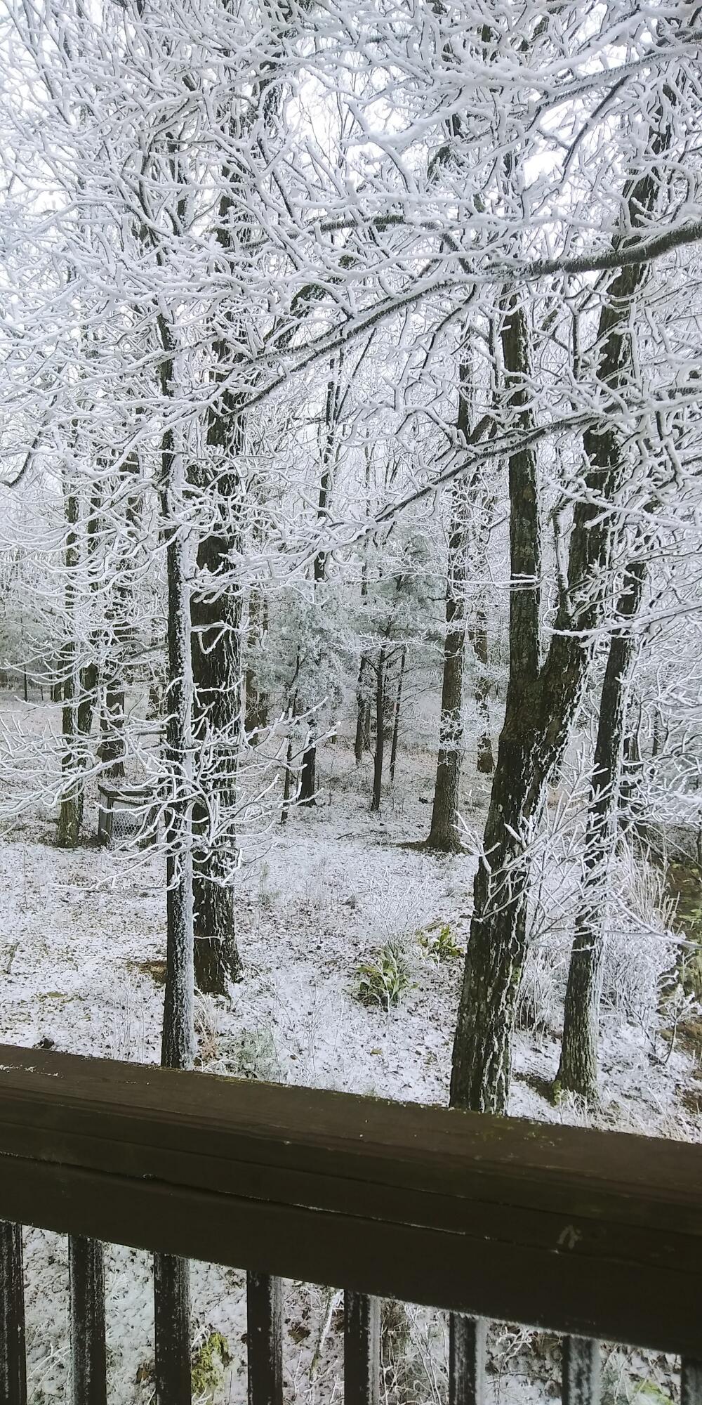 5998 Old State Road Menlo, GA 30731 - Photo 58 of 60 20210216_140436