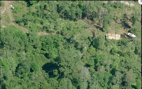 a view of a lush green forest with trees and houses