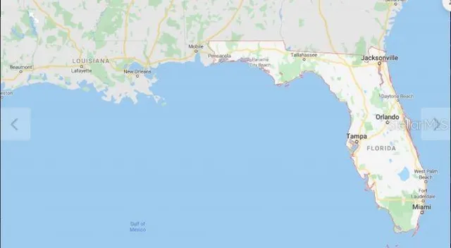 a vase of flowers sitting on a table