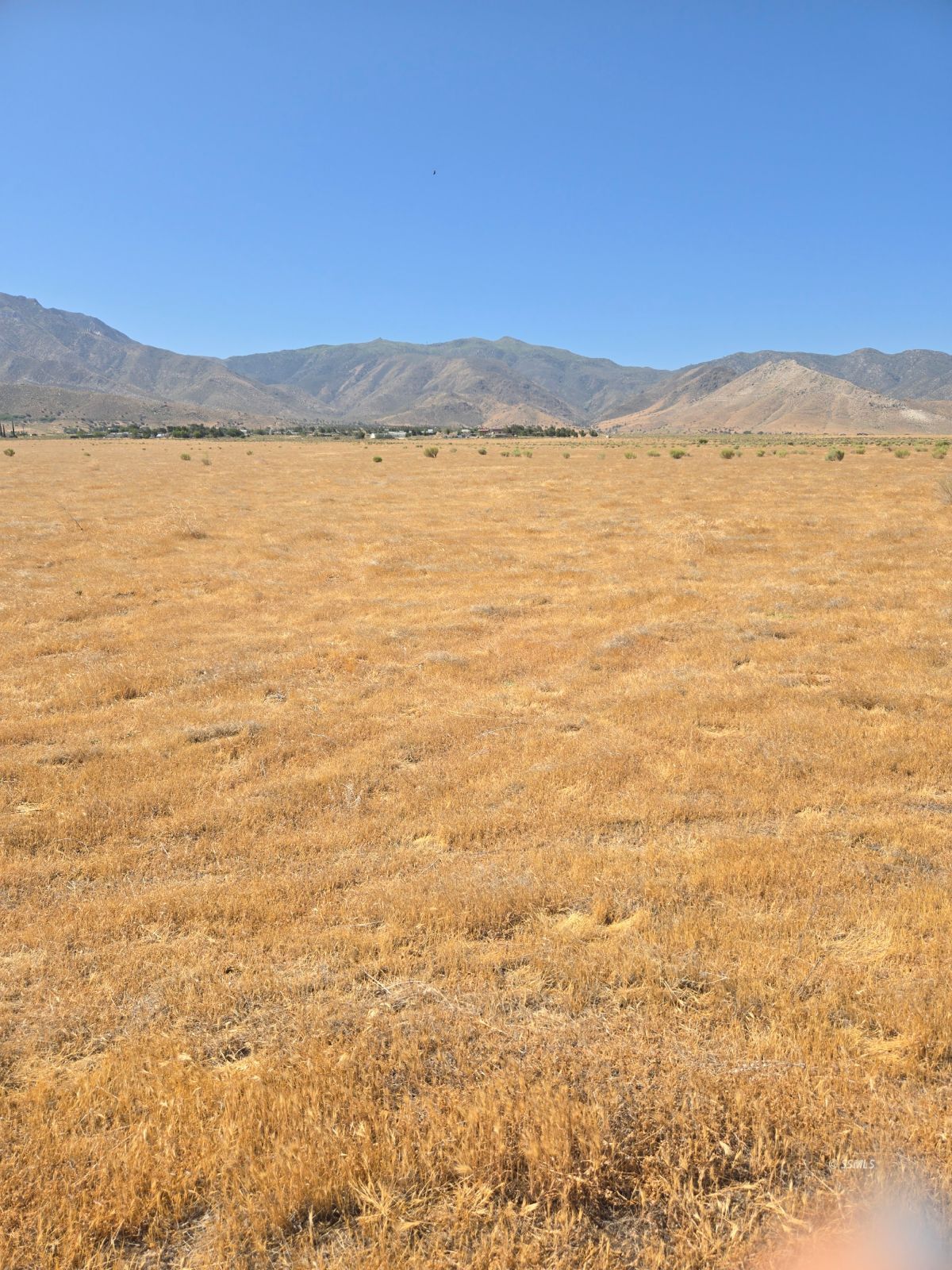 426-390-09 Lakeview Road Weldon, CA 93283 - Photo 2 of 7