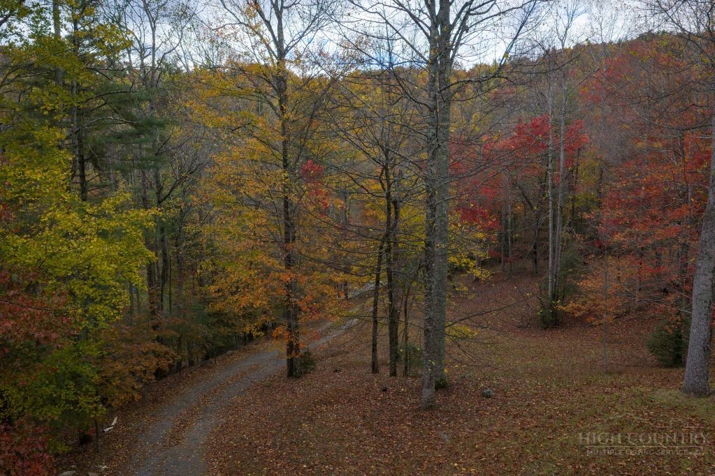 374 Lawrence Greene Road Deep Gap, NC 28618 - Photo 8 of 19 Gallery Image 8