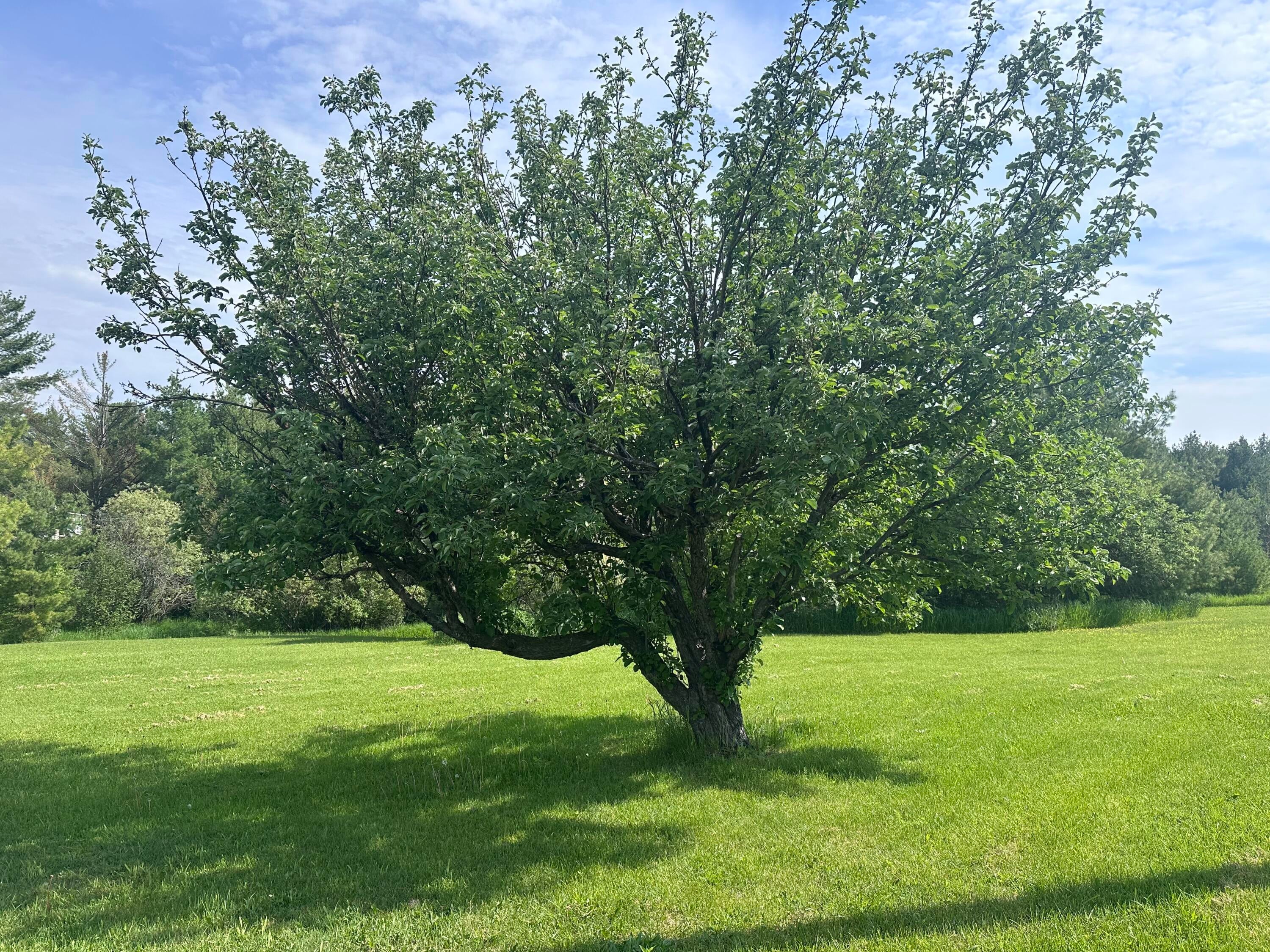 1932 Knepp Road Fairview, MI 48621 - Photo 6 of 36 IMG_0010