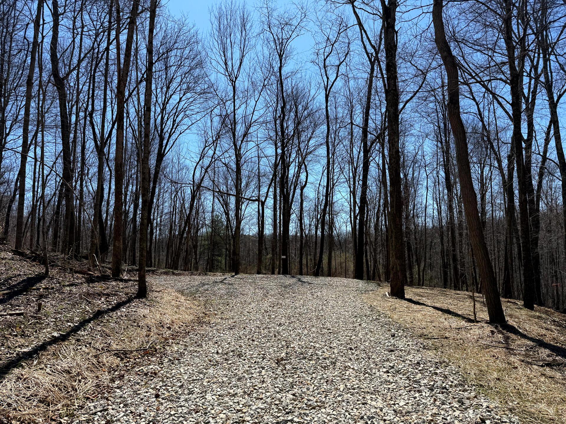 0 Dutch Ridge Road Southeast, Unit WOODS TURKEY RUN TRACT 5) New Lexington, OH 43764 - Photo 7 of 58 CT-7