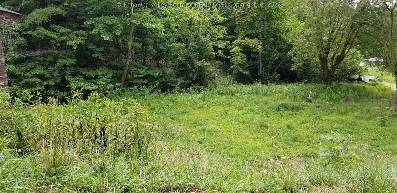 1954 Mud Run Road Ripley, WV 25271 - Photo 4 of 4 Gallery Image 4