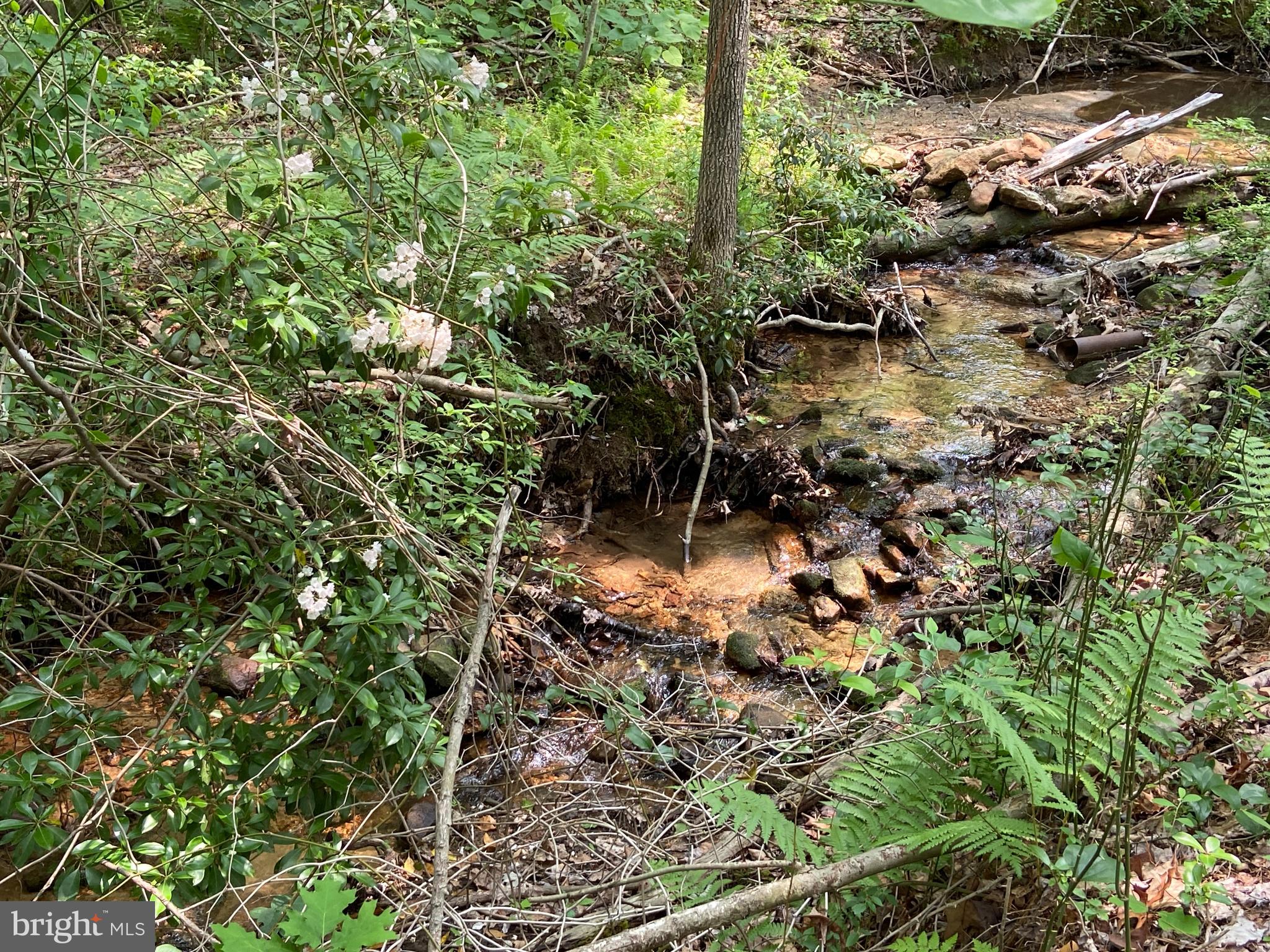 9701 Route 209 Williamstown Pa  