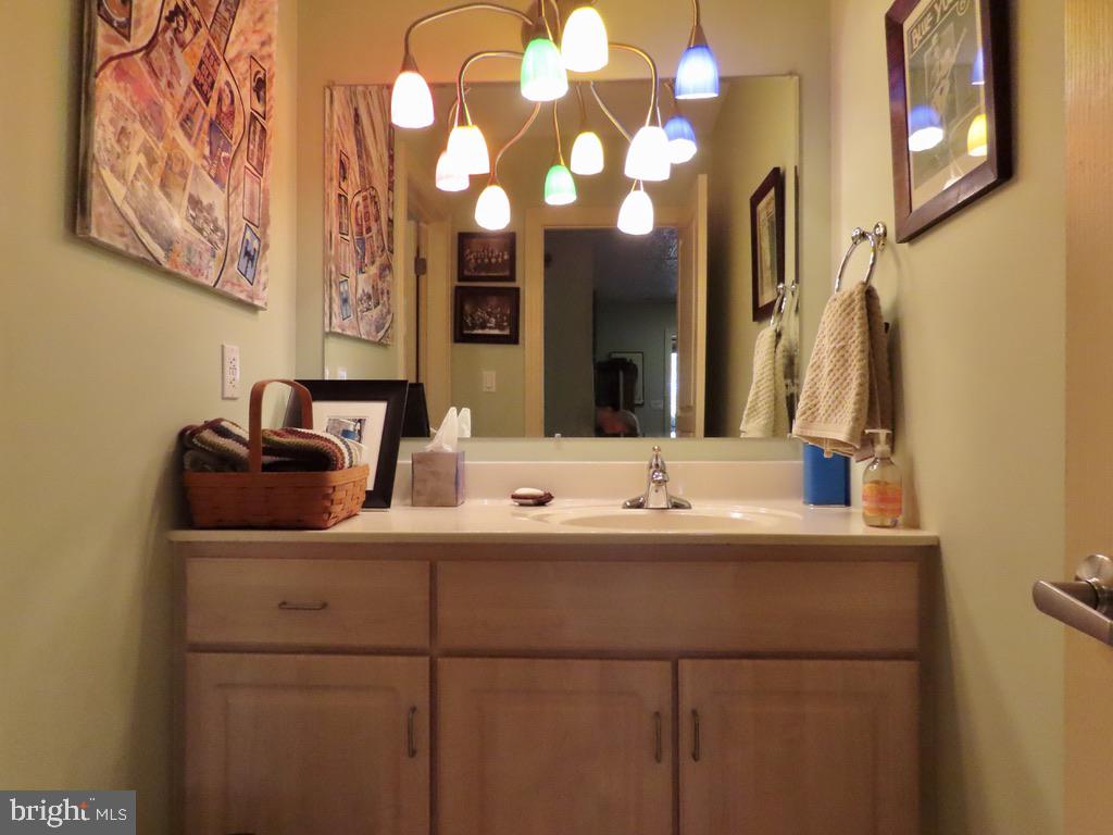 3016 Etlan Road Etlan, VA 22719 - Photo 35 of 42 Full bath lower level has separate tub-shower room
