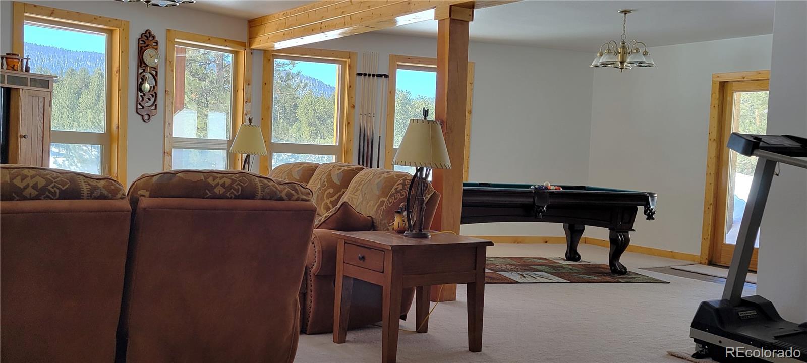 1321 Bristlecone Road Guffey, CO 80820 - Photo 11 of 47 Gallery Image 11