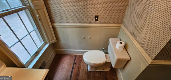 a view of a plants with trees in the background