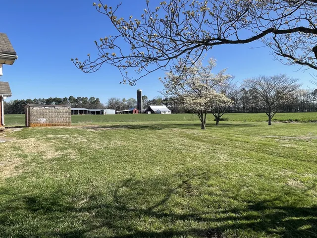a view of a field with a tree in it