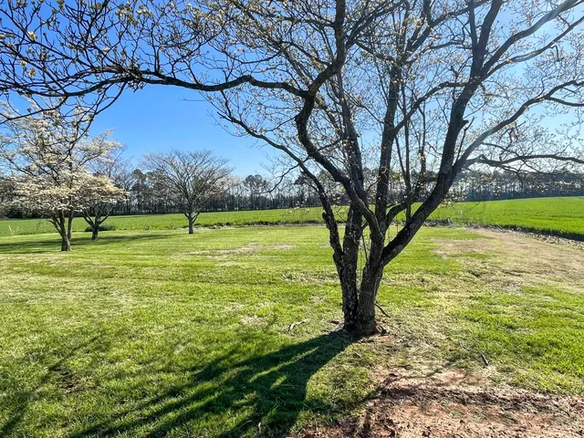 a view of outdoor space with trees