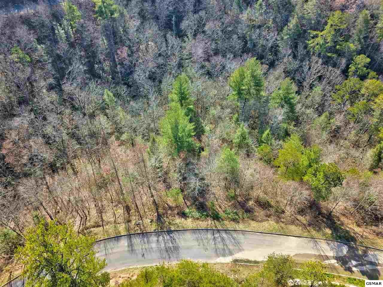 57 Smoky Ridge Way Sevierville, TN 37862 - Photo 12 of 12 Gallery Image 12