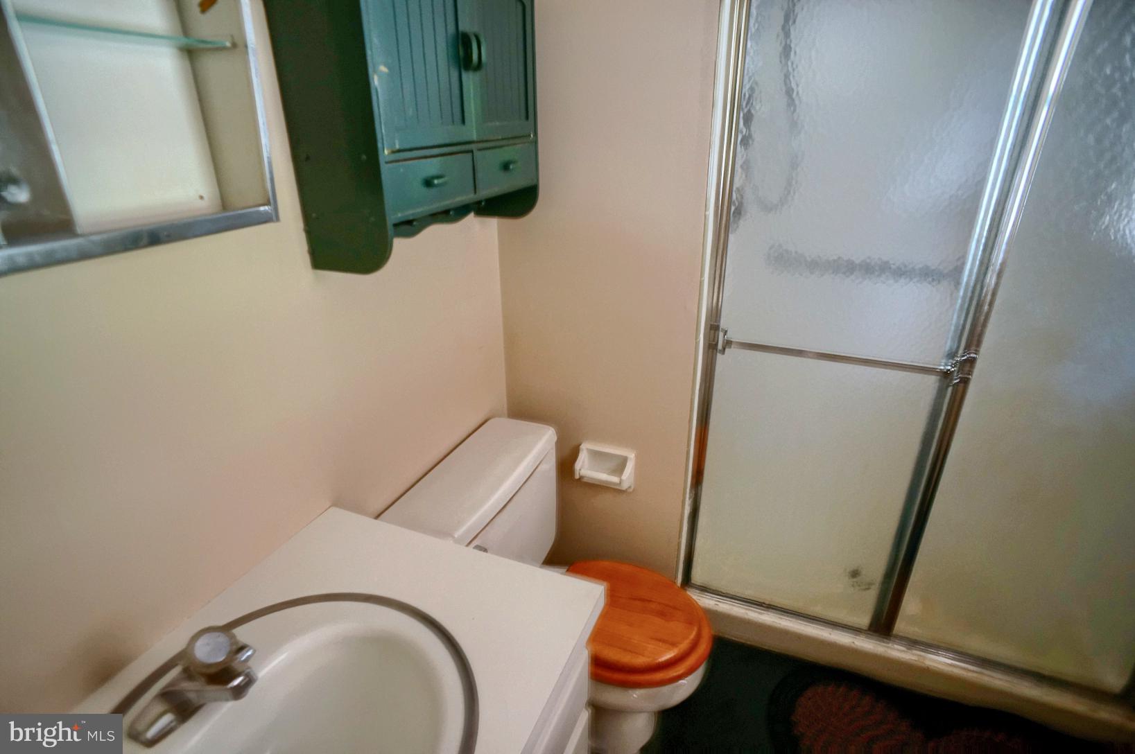 7931 Rider Lane Hummelstown, PA 17036 - Photo 14 of 21 Master Bath