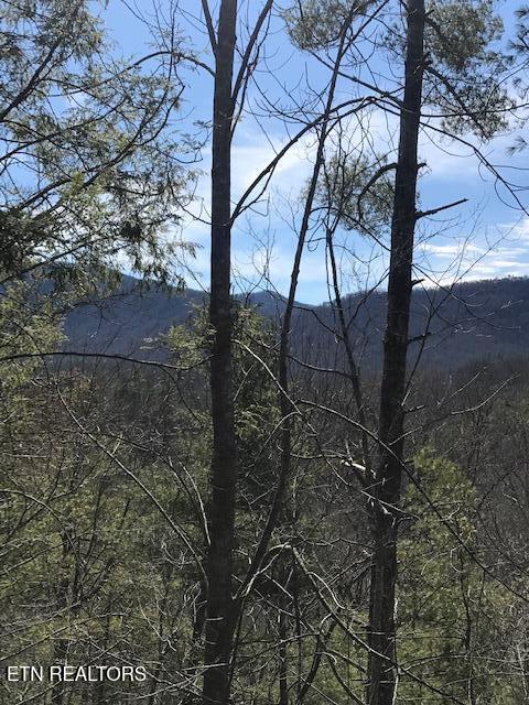 218 Ace Gap Road Townsend, TN 37882 - Photo 6 of 28 View from deck