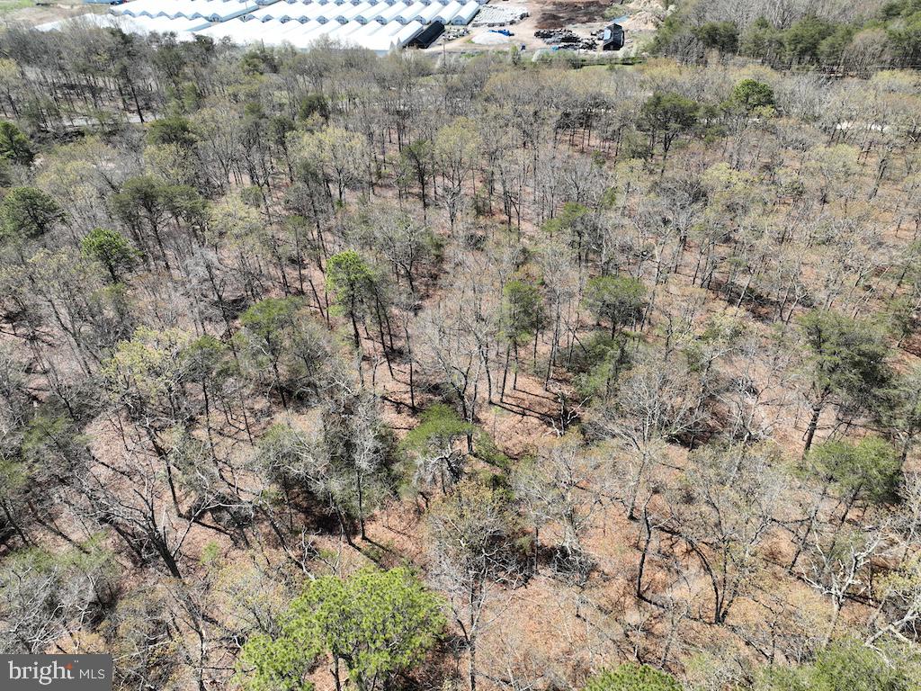 351 Shaws Mill Road Cedarville, NJ 08311 - Photo 62 of 84