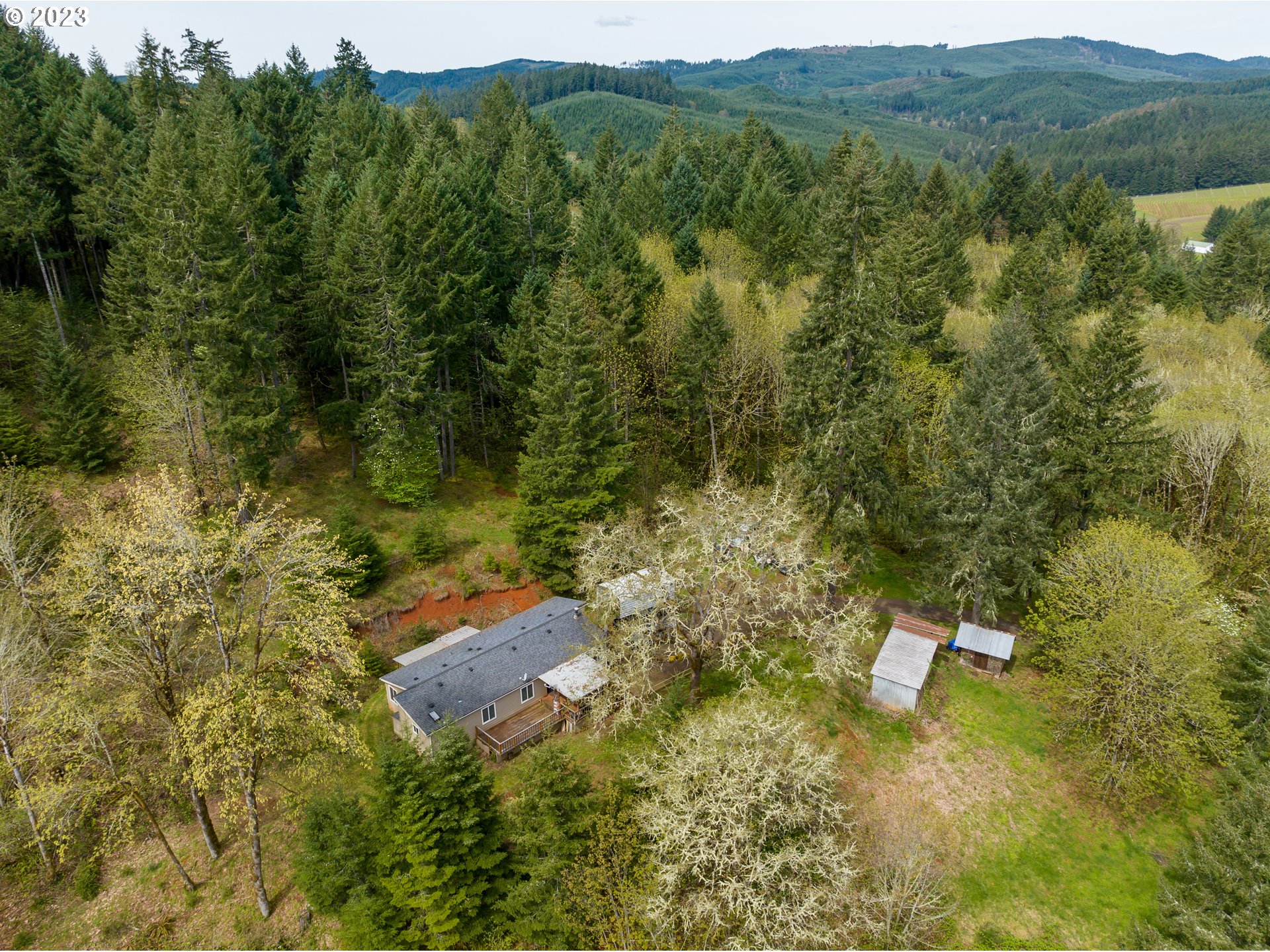 24800 High Pass Road Junction City, OR 97448 - Photo 6 of 27 Gallery Image 6