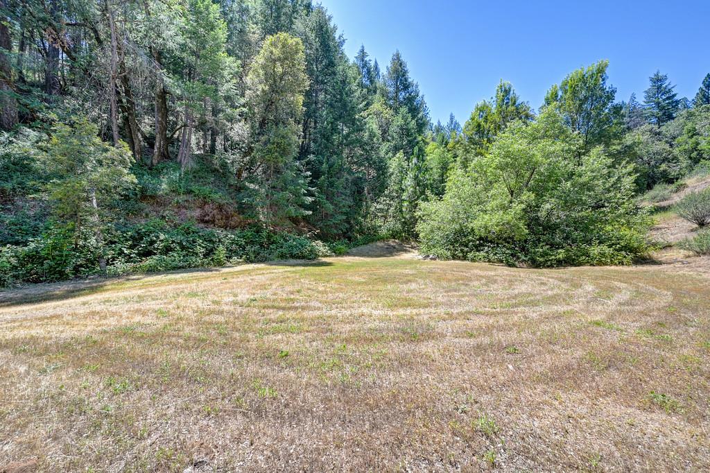23505 Grand View Way Colfax, CA 95713 - Photo 6 of 32