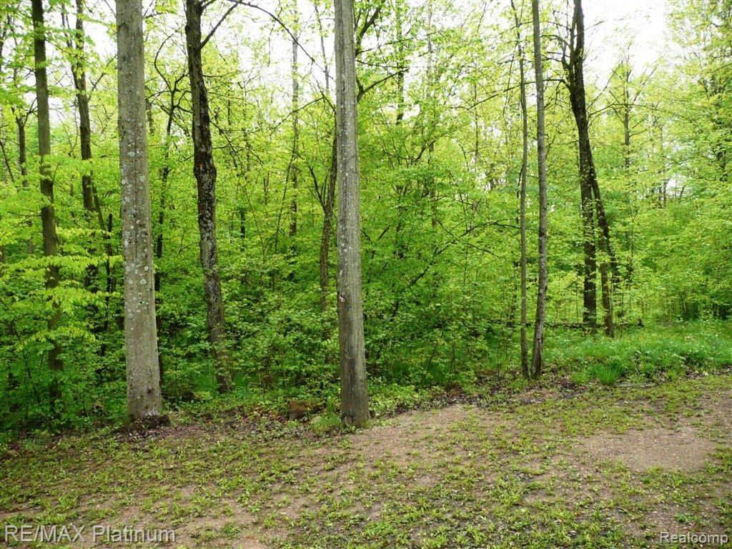 5272 Golf Club Road Howell, MI 48843 - Photo 21 of 22 Private Wooded Yard