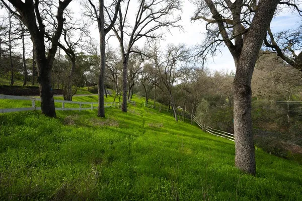 $399,000 | 4321 Buchanan Drive, Fair Oaks, CA 95628