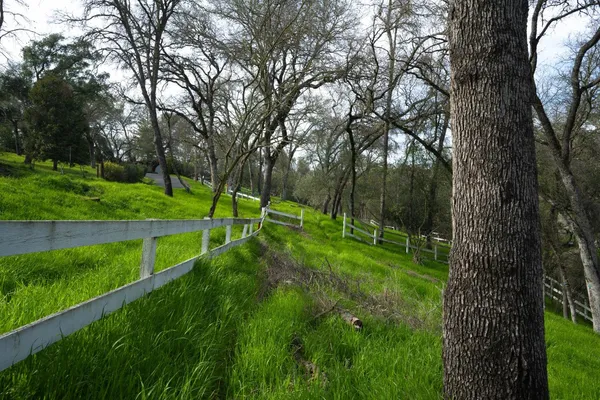 $399,000 | 4321 Buchanan Drive, Fair Oaks, CA 95628
