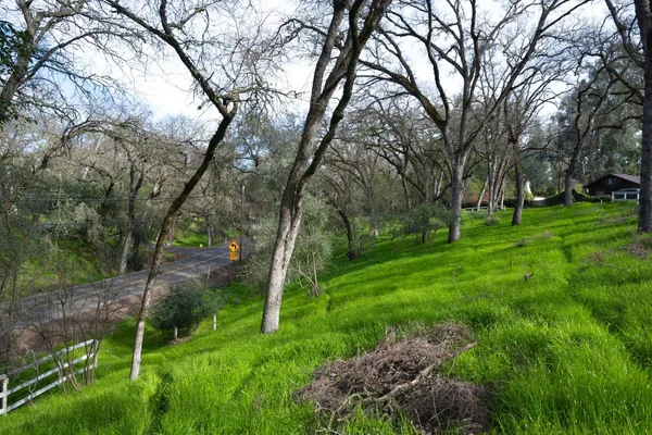 $399,000 | 4321 Buchanan Drive, Fair Oaks, CA 95628