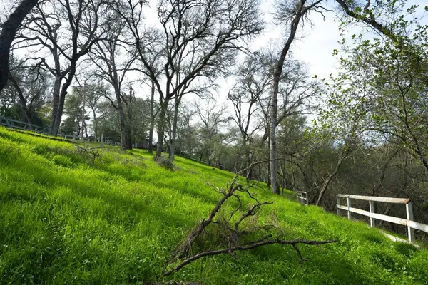$399,000 | 4321 Buchanan Drive, Fair Oaks, CA 95628