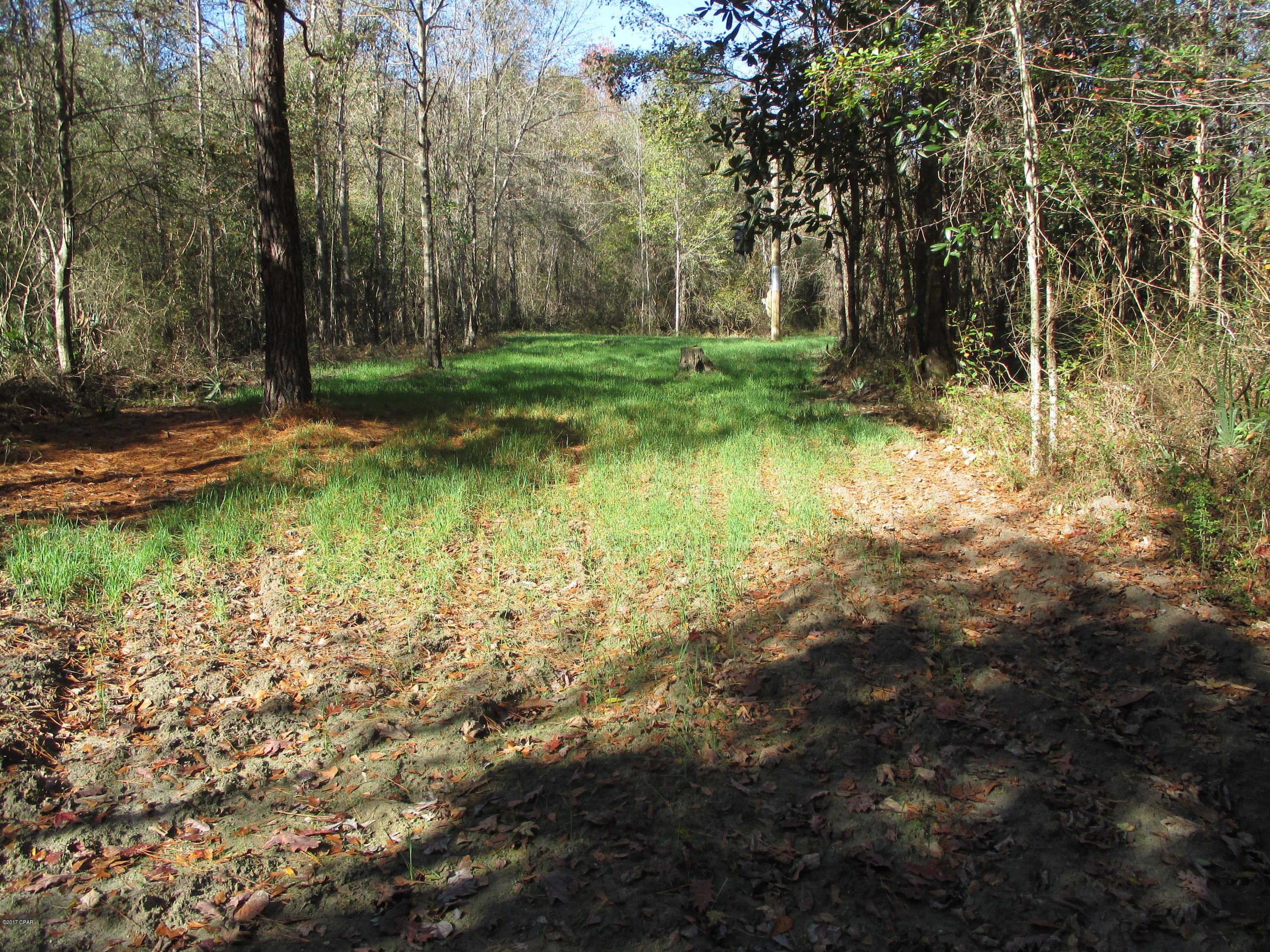 0 Benchoff Road Bonifay, FL 32425 - Photo 3 of 32