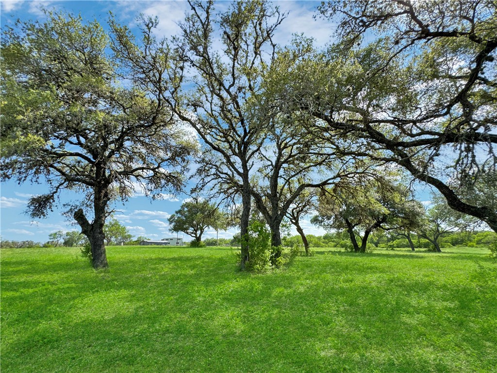 4552 Mineral Cemetery Road Beeville, TX 78102 - Photo 5 of 31