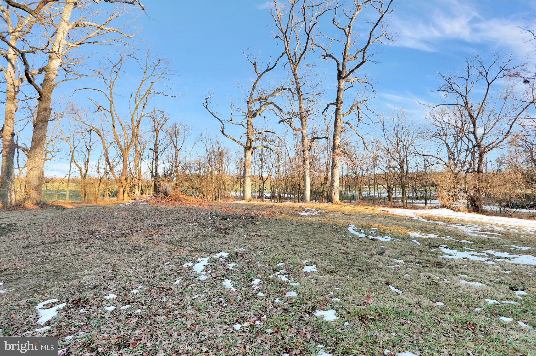 515 White Post Road White Post, VA 22663 - Photo 55 of 55