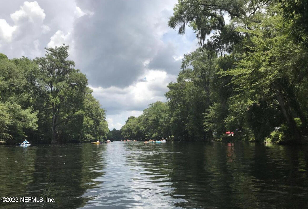 162 Whispering Pines Road Georgetown, FL 32139 - Photo 13 of 13 IMG-6717